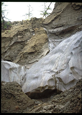 Icewedge in Siberian premafrost (Russia)
