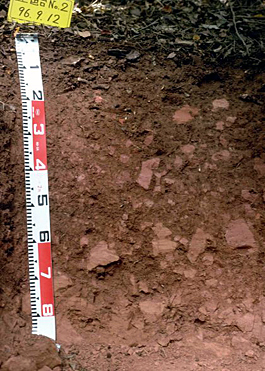 Red soil (Kagawa