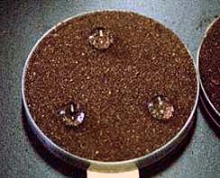 Measurement of the water repellency of soil