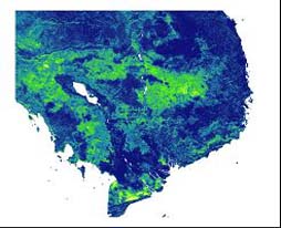 NDVI in Indochina