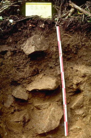 soil in shikoku