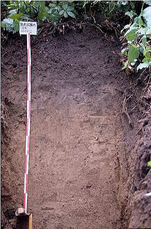 soil in Tskuba