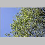 2004/04/24Xё {~nŎBe