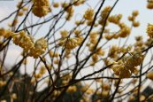 2006/03/27XщȊwŎBe