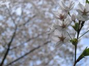 2006/04/19R^sŎBe