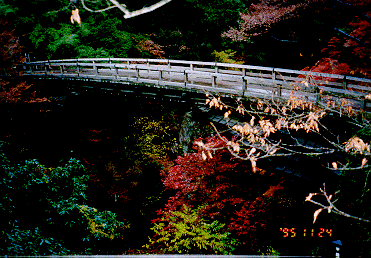 ����(�R�����匎�s����)