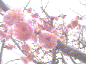 1998/03/22 ˂̔~