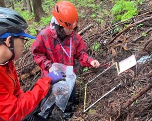 ͐ϗL@͓ytȂMM̂Ƃ܂ō̎悷