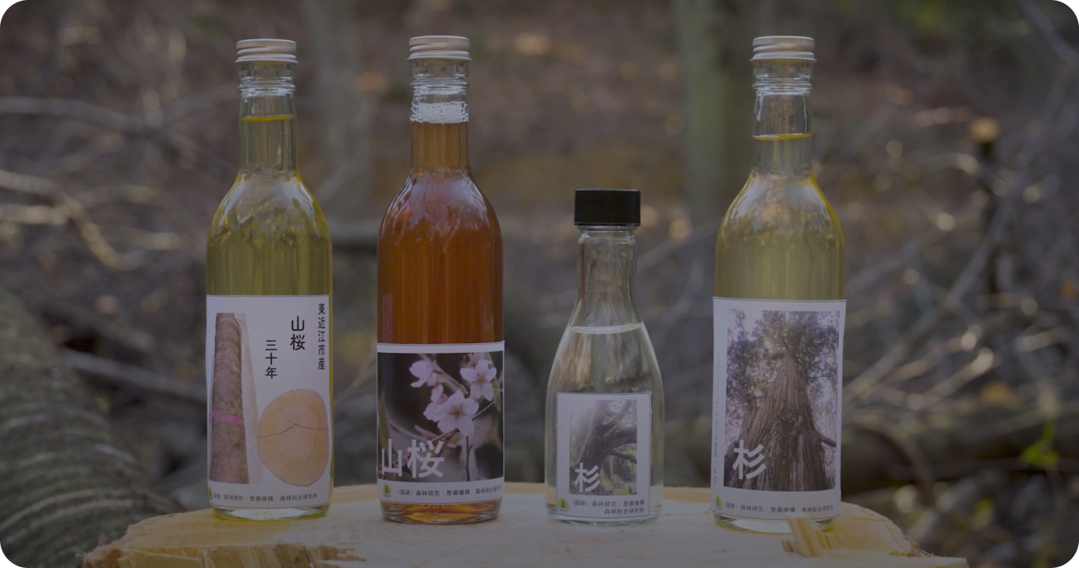 「木の酒」の瓶が並んだ写真