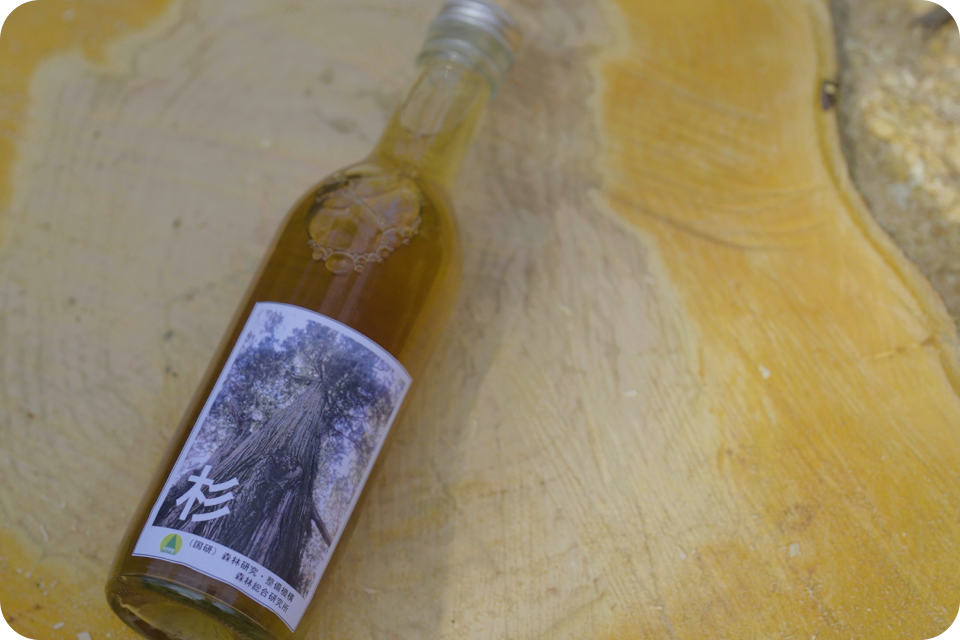 「木の酒」の瓶の写真