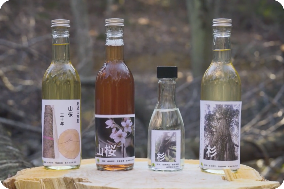 「木の酒」の瓶が並んだ写真