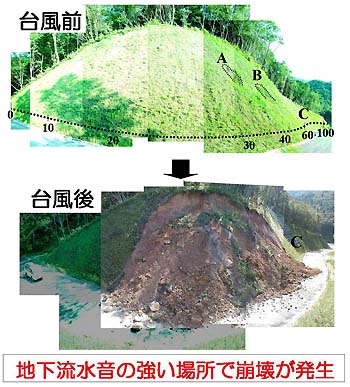 写真2　台風前後の林道の様子