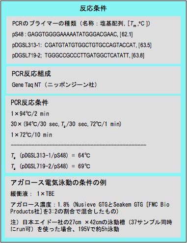 Reaction Conditions