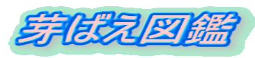΂} 