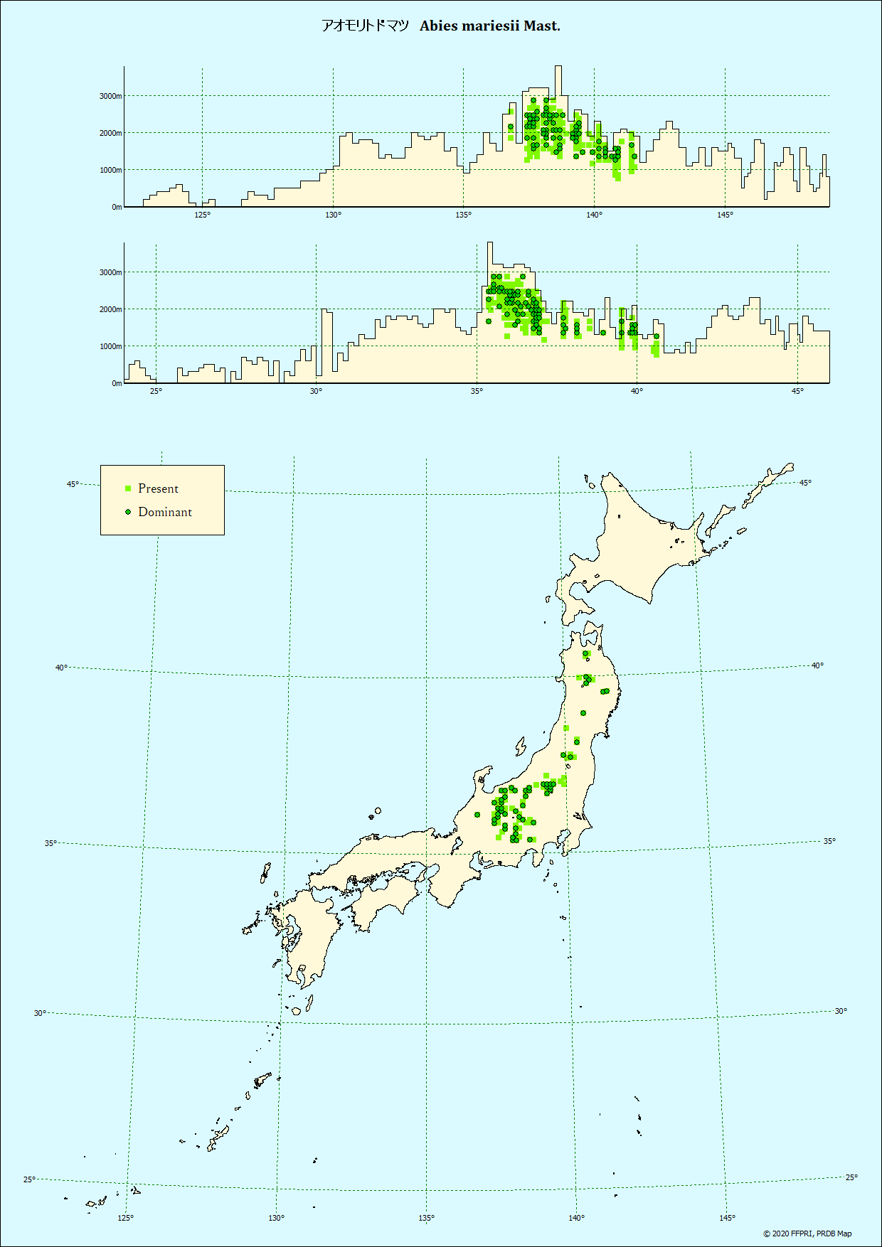 アオモリトドマツ