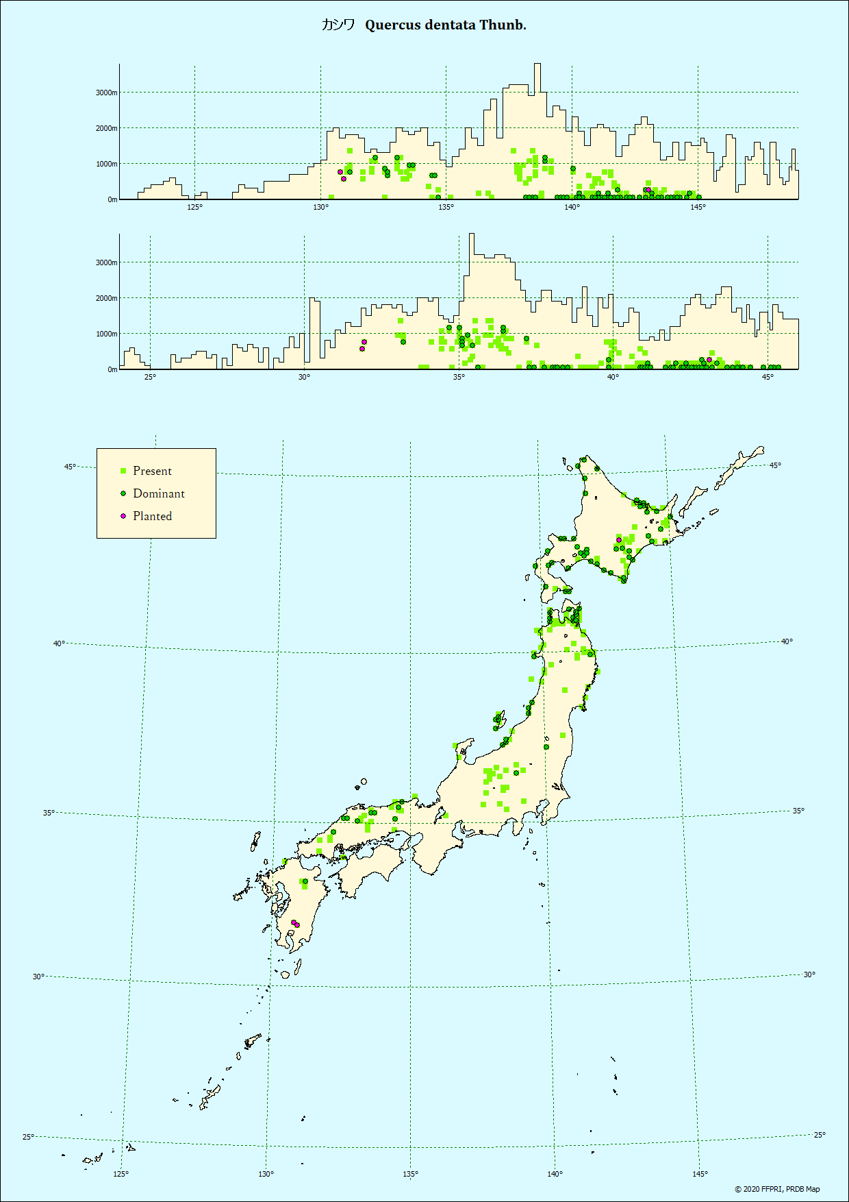 カシワ