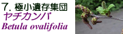 `Jo