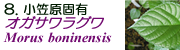 IKTO