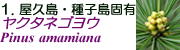 N^lSE