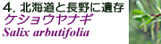 PVEiM