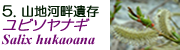 r\iM