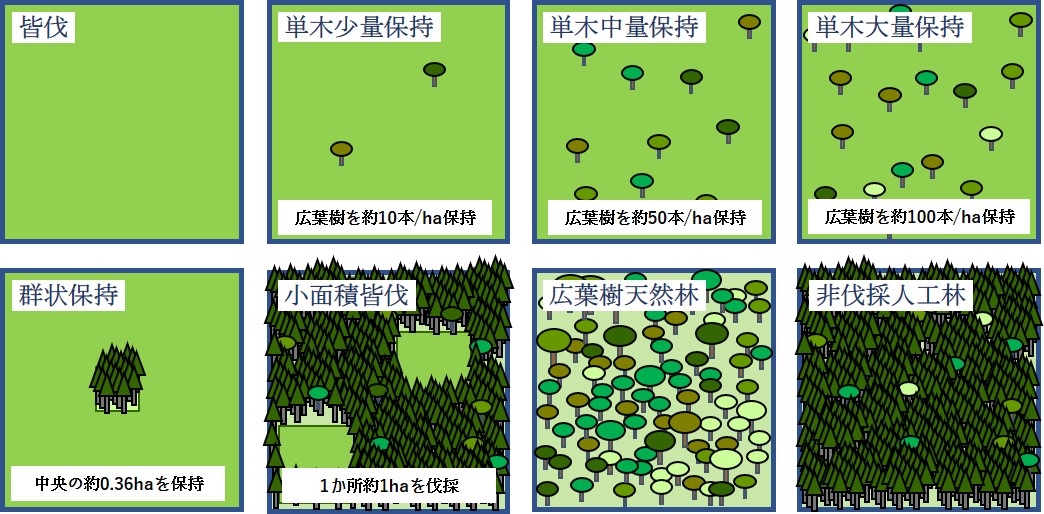 実験処理イメージ図