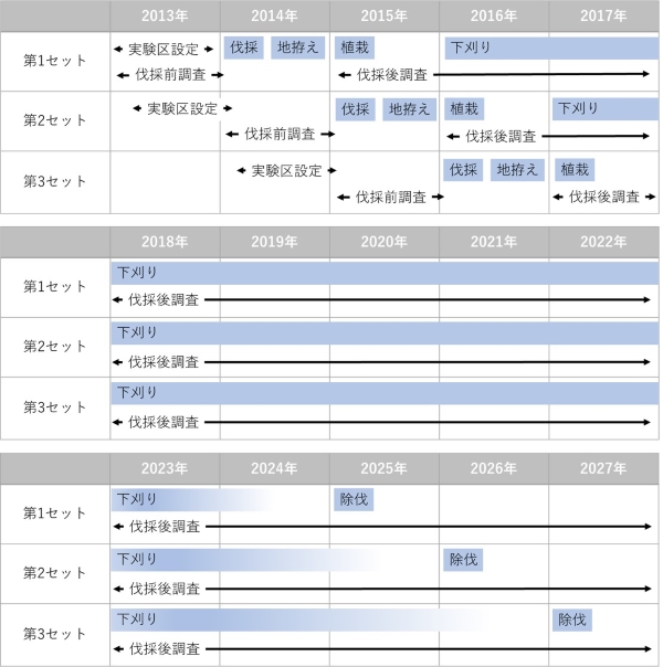 実験スケジュール