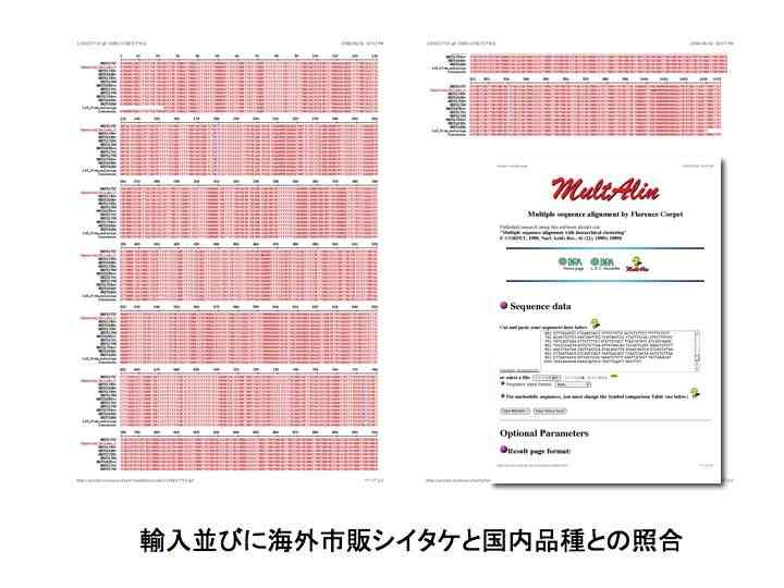 Collating of Imported Shiitake