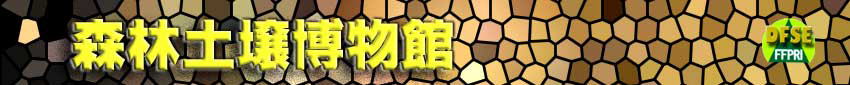 Xѓy딎ف@DFSE
