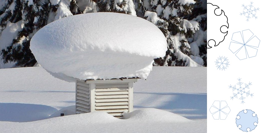 画像は十日町試験地ウェブ博物館へようこそ