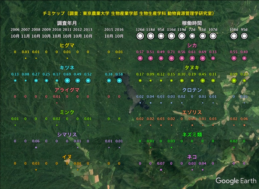 観測結果