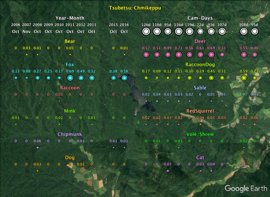 Survey Results