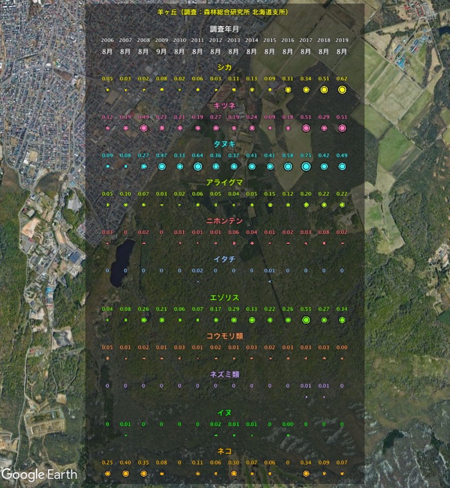 観測結果