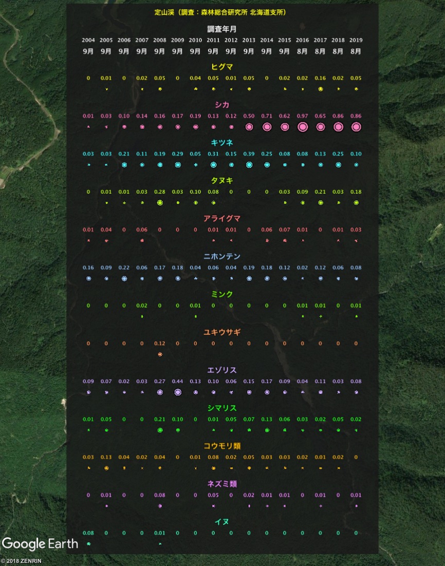 観測結果