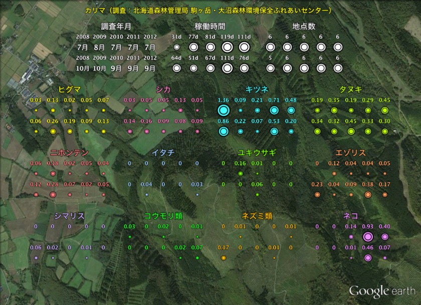 観測結果