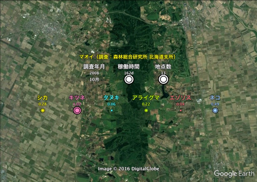 観測結果