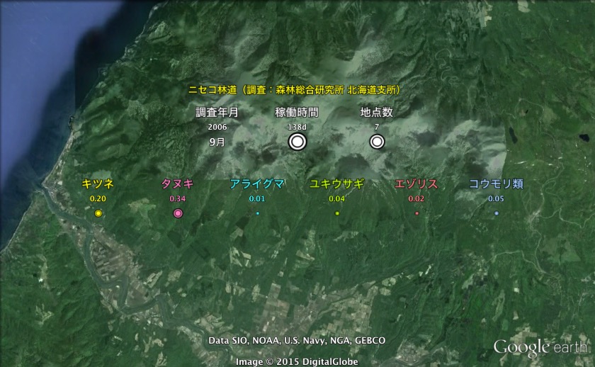 観測結果