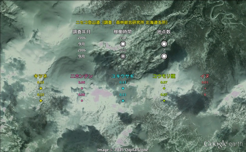 観測結果