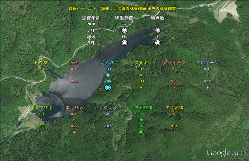 観測結果