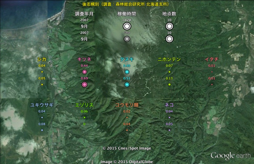 観測結果