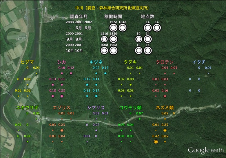 観測結果