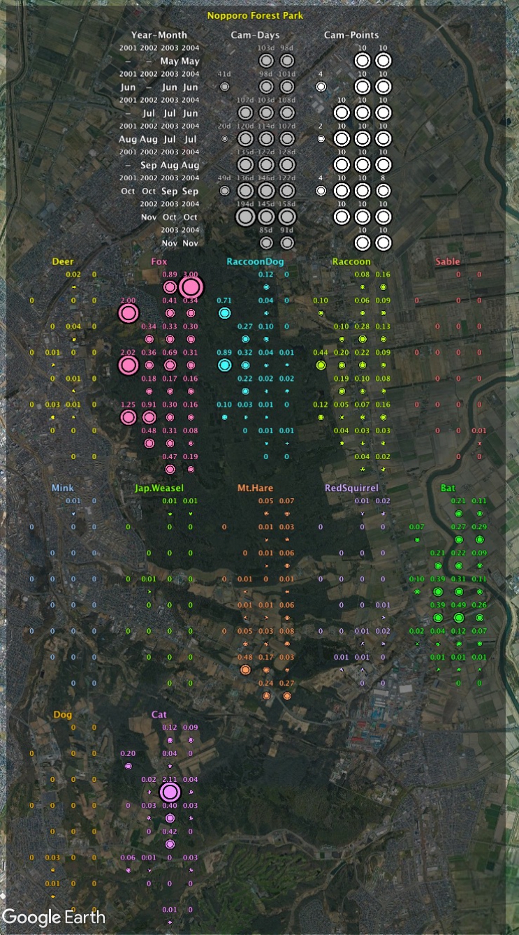 Survey Results