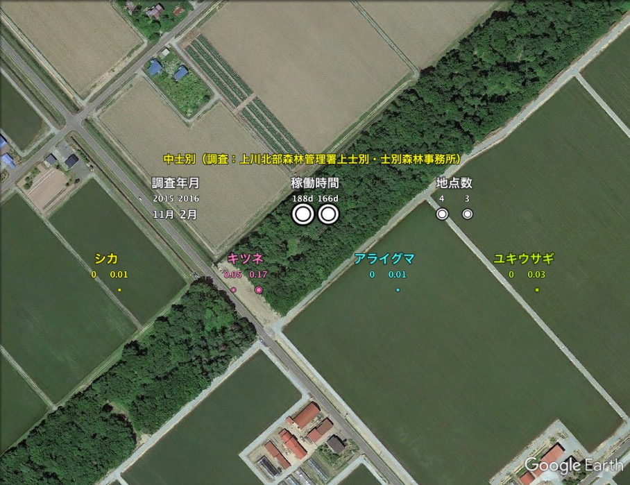 観測結果