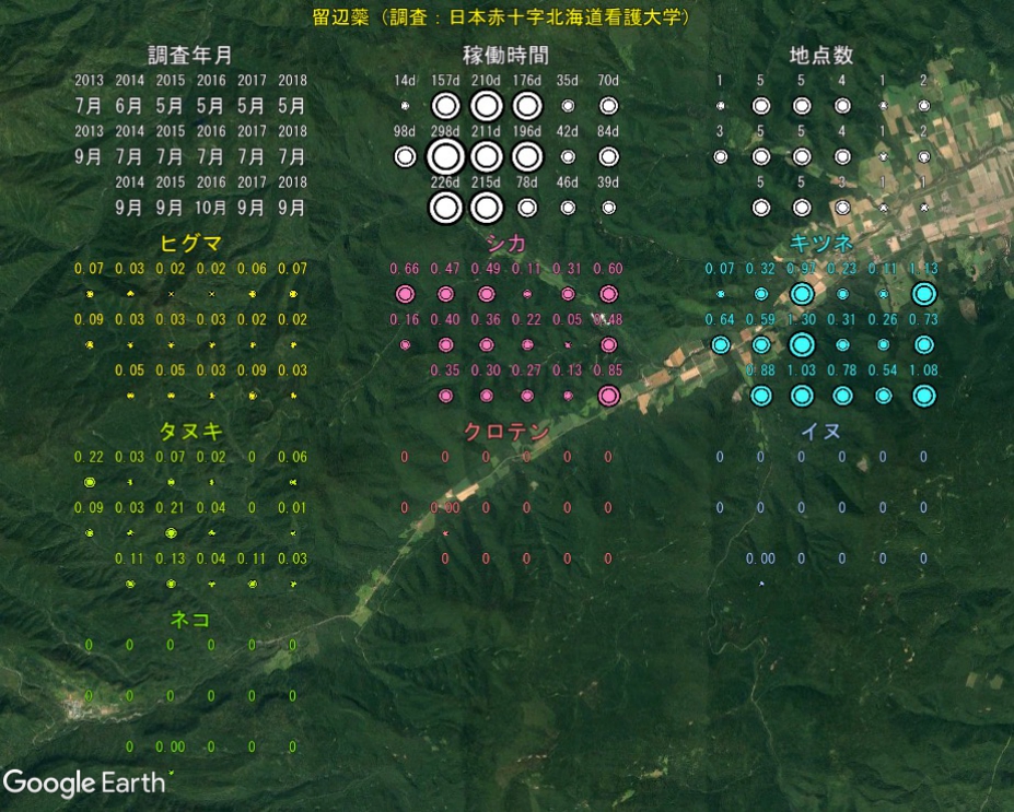 観測結果