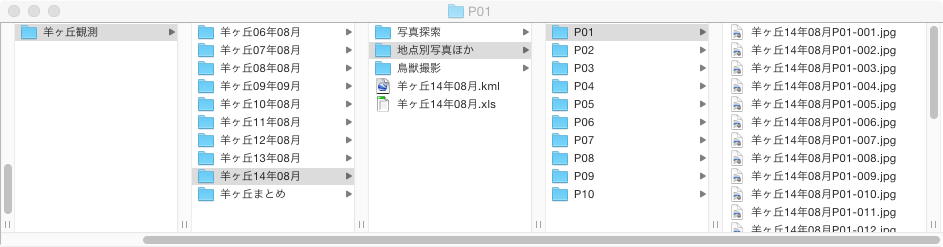 ファイル構造を示した図