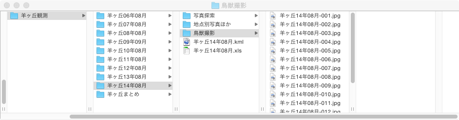 ファイル構造を示した図