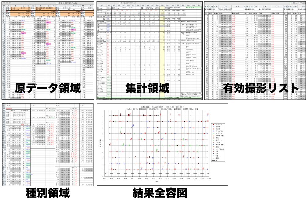 データシート構成図