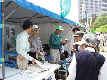 森林の市写真3