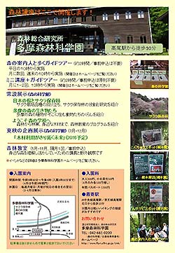 平成28年度森林講座チラシ裏