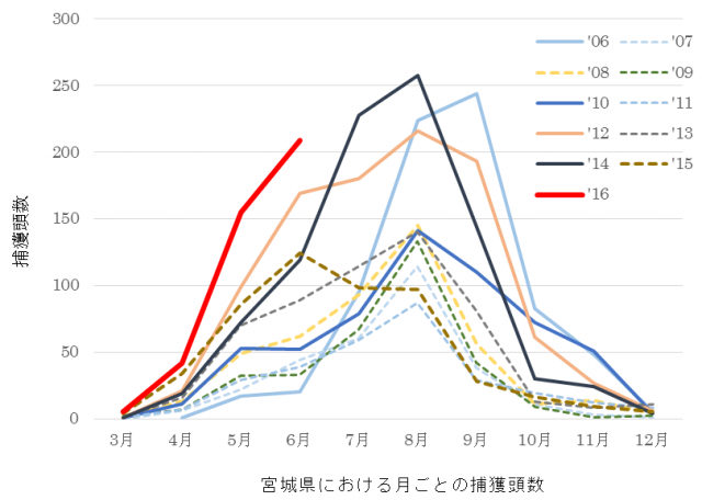 宮城県における月ごとの捕獲頭数